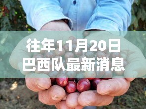 巴西隊(duì)最新動(dòng)態(tài)與小巷探秘，揭秘背后秘密與最新消息