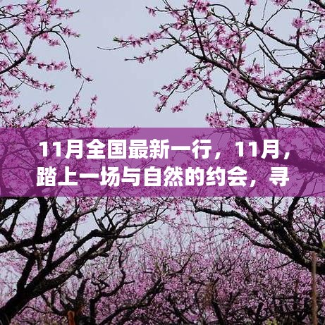 11月踏自然之旅，內(nèi)心的桃花源探尋記