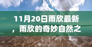 花開無言 第17頁