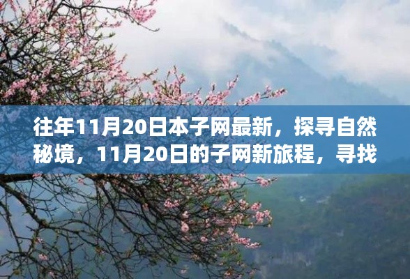 往年11月20日本子網(wǎng)最新，探尋自然秘境，11月20日的子網(wǎng)新旅程，尋找內(nèi)心的桃花源