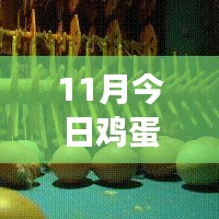 11月雞蛋價(jià)格最新行情解析，多方觀點(diǎn)交織的思考