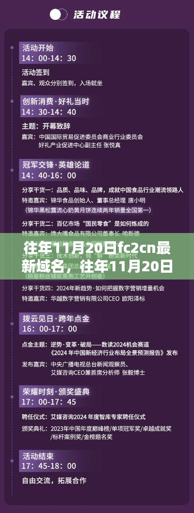 往年11月20日FC2CN域名更新，解析與觀點(diǎn)闡述