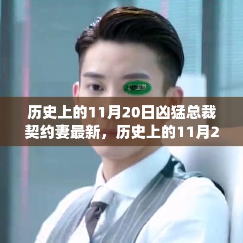 歷史上的11月20日，契約妻文化與兇猛總裁現(xiàn)象的深度解讀