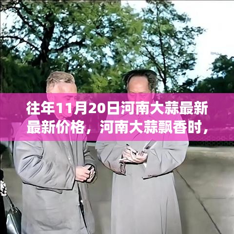 河南大蒜價(jià)格更新與一場自然美景的心靈之旅，大蒜飄香時(shí)節(jié)的探尋