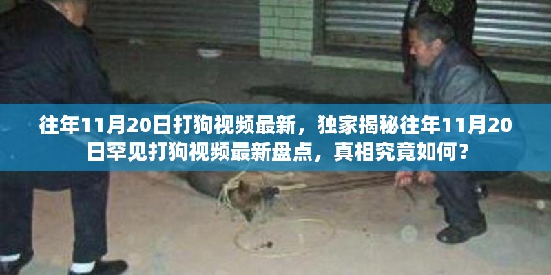 獨家揭秘，往年11月20日罕見打狗事件回顧與最新視頻盤點，真相揭秘！