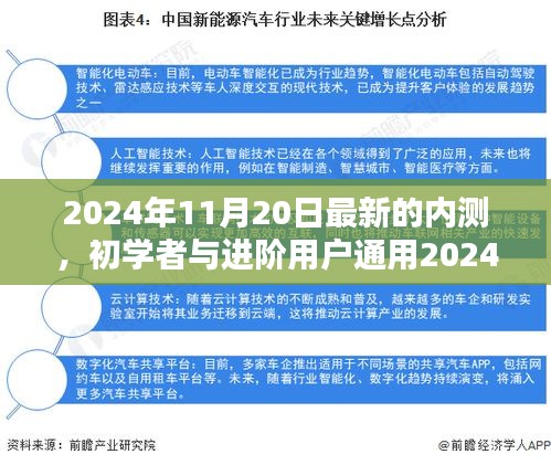 初學(xué)者與進(jìn)階用戶通用，最新內(nèi)測(cè)任務(wù)完成指南（2024年11月20日版）