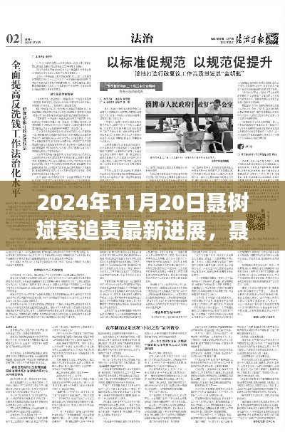 聶樹斌案追責最新進展深度解析，2024年11月20日追責進展及評測