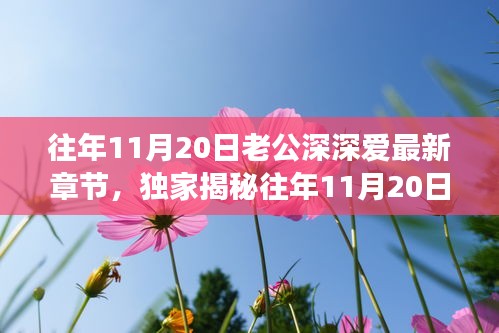 往年11月20日老公深情與高科技融合，全新智能伴侶揭秘，顛覆想象！