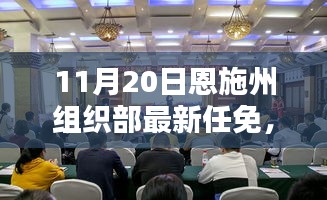 恩施州組織部最新任免動態(tài)解析及用戶群體分析，特性、體驗與競品對比報告
