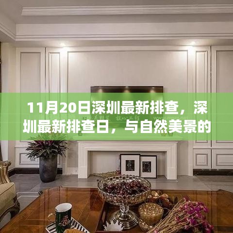 深圳最新排查日，自然美景中的內(nèi)心寧靜之旅