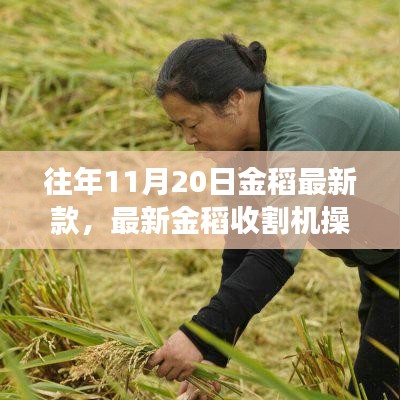 最新金稻收割機(jī)操作指南，從初學(xué)者到進(jìn)階用戶的必備教程（往年11月20日新款）