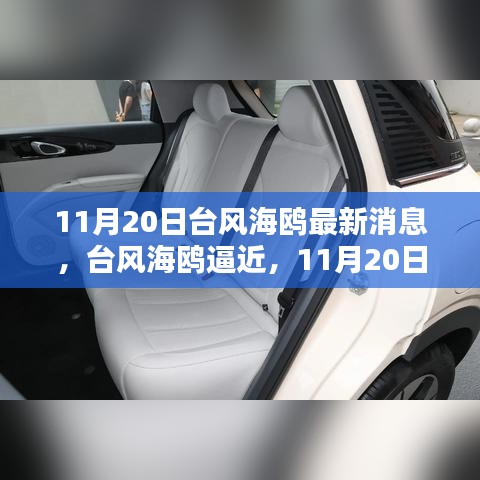 臺風海鷗逼近，最新動態(tài)及應對指南（11月20日更新）