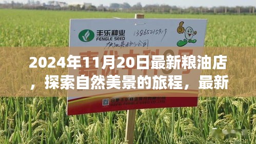 探索自然美景的旅程，最新糧油店與內(nèi)心的寧?kù)o時(shí)光