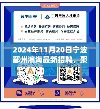 寧波鄞州濱海最新招聘動(dòng)態(tài)，聚焦未來趨勢(shì)與個(gè)人發(fā)展視角（2024年11月20日）