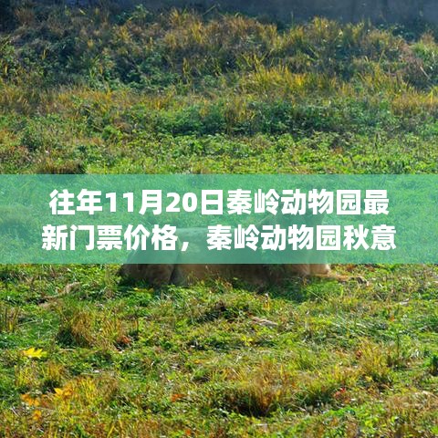 秦嶺動(dòng)物園秋意濃時(shí)啟幕，探尋自然美景之旅與最新門票價(jià)格發(fā)布！