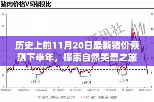 歷史上的11月20日豬價(jià)預(yù)測(cè)與心靈寧?kù)o尋覓之旅，自然美景探索
