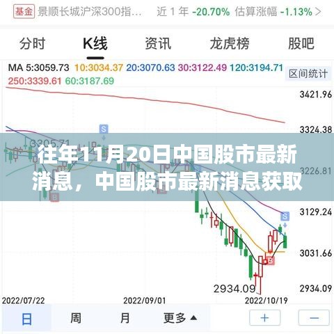 往年11月20日中國股市動態(tài)解析，獲取最新消息指南及初學(xué)者進階技巧