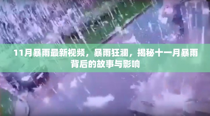 揭秘十一月暴雨背后的故事與影響，暴雨狂瀾最新視頻報道