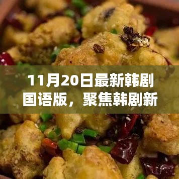 11月20日最新韓劇國語版，聚焦韓劇新風(fēng)尚，11月20日最新韓劇國語版深度解析