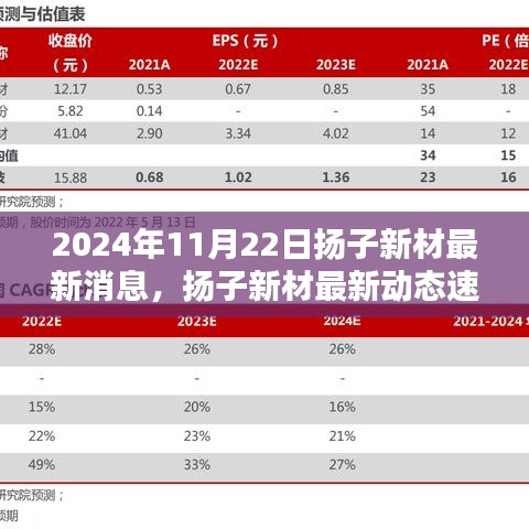 2024年11月22日揚(yáng)子新材最新消息，揚(yáng)子新材最新動(dòng)態(tài)速遞，2024年11月22日的三大看點(diǎn)