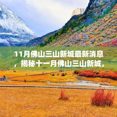 揭秘佛山三山新城十一月最新動(dòng)態(tài)，自然之旅的心靈凈土探索