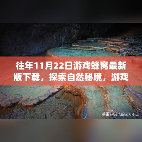 游戲蜂窩帶你探索自然秘境，最新下載，心靈平靜之旅