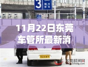 東莞車管所溫馨日常，趣事與陪伴的特別記錄（11月22日最新消息）