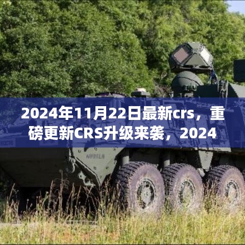 重磅更新CRS升級(jí)來(lái)襲，解讀最新政策與應(yīng)對(duì)策略，2024年CRS新動(dòng)向解析