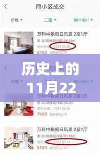 歷史上的11月22日午夜頻道最新福利宅女，歷史上的午夜頻道，宅女逆襲，自信與成就感的魔法時刻