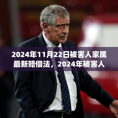 深度解讀2024年被害人家屬賠償法，背景、進展與影響