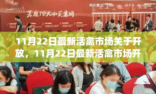 11月22日活禽市場開放動態(tài)，復(fù)蘇與機遇的挑戰(zhàn)