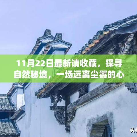 11月22日探尋自然秘境之旅，心靈啟程，珍藏美好瞬間