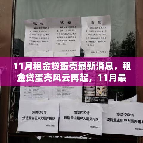 租金貸蛋殼風(fēng)云再起，深度解析蛋殼最新消息與11月最新進(jìn)展