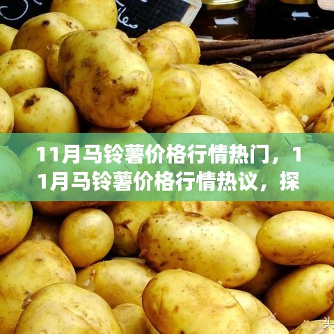 探析市場波動與各方觀點，揭秘十一月馬鈴薯價格行情熱議背后的故事