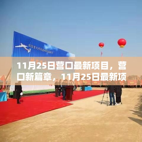 營口新篇章，11月25日最新項目探秘與揭秘