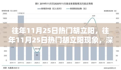 深度解析與觀點(diǎn)闡述，胡立陽現(xiàn)象——?dú)v年11月25日的熱門焦點(diǎn)