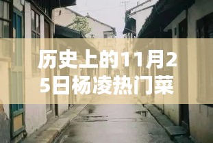 歷史上的楊凌菜價探秘，十一月二十五日小巷深處的時光味道與熱門菜價揭秘
