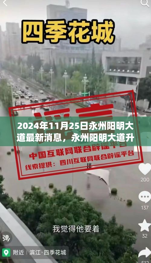 永州陽明大道升級改造最新進(jìn)展深度評測，最新消息與評測報告（2024年11月25日）
