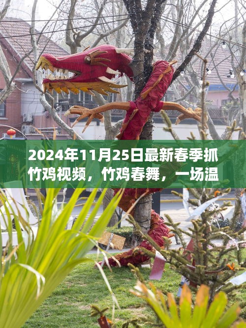 竹雞春舞，2024年春季抓竹雞視頻，歡樂(lè)抓雞之旅紀(jì)實(shí)