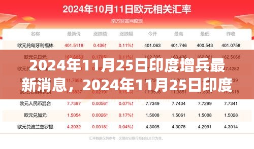 印度增兵動(dòng)態(tài)深度解析與前沿觀察，最新消息及觀察分析（2024年11月25日）