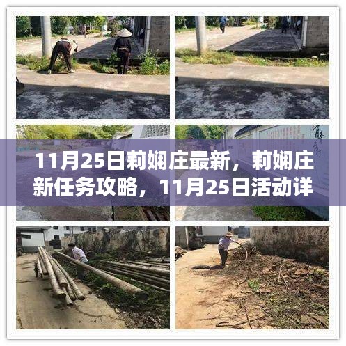 莉嫻莊新任務(wù)攻略與活動(dòng)詳解，11月25日指南，提升技能全解析