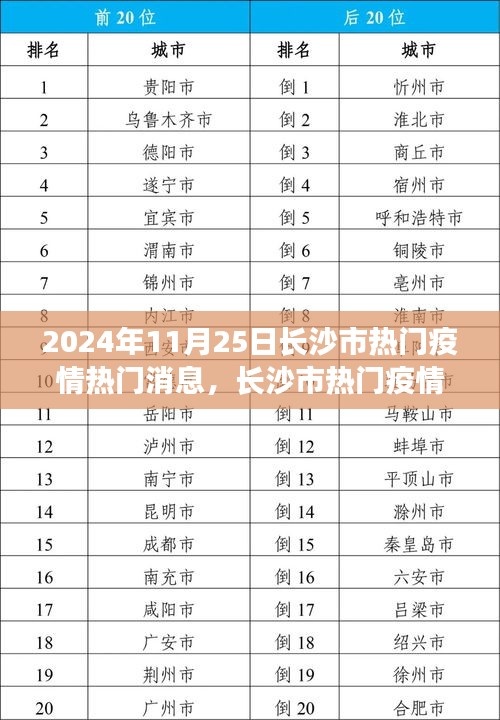 長沙市疫情動態(tài)，熱門消息下的公眾關(guān)注焦點與個人觀點探討（2024年11月25日）