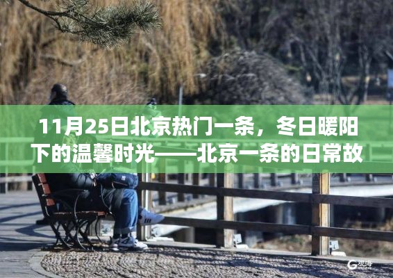 冬日暖陽下的北京一條日常故事，溫馨時光回顧