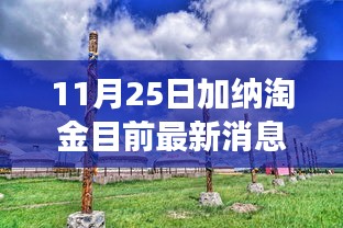 加納淘金最新動(dòng)態(tài)，探尋秘境的心靈之旅
