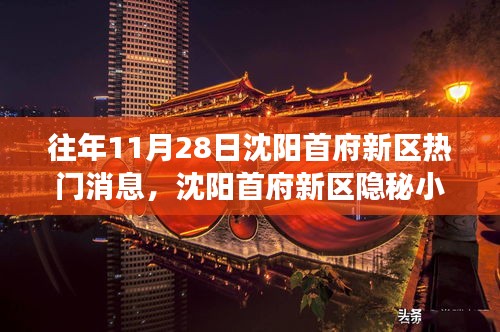 沈陽首府新區(qū)隱秘寶藏小店，揭秘往年11月28日的熱門故事