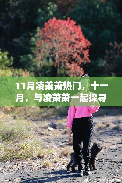 十一月心靈之旅，與凌蕭蕭共探自然秘境