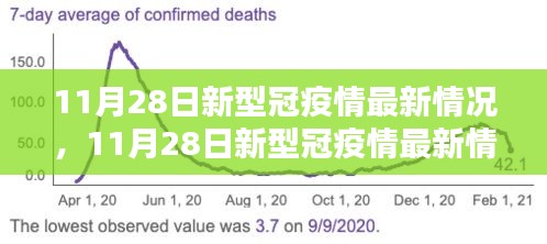 全面評測與深度解析，11月28日新冠疫情最新情況