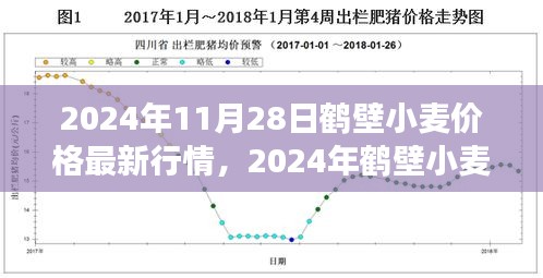 2024年鶴壁小麥價格最新行情及市場走勢分析，影響因素探討