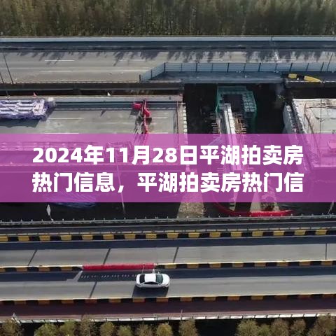 平湖拍賣房熱門信息揭秘，回顧與展望，影響深遠(yuǎn)！