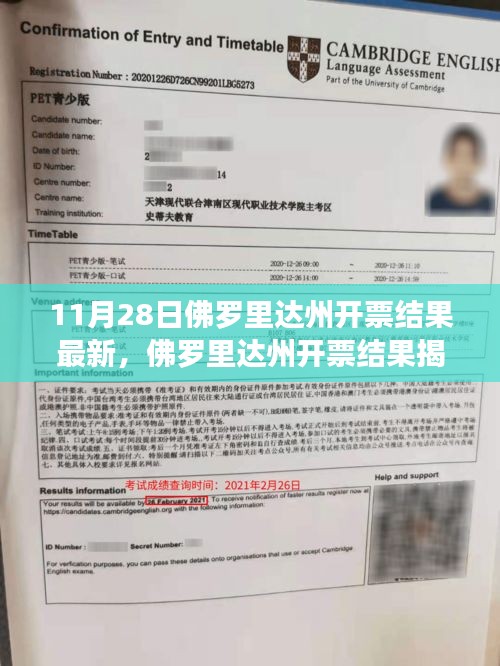 佛羅里達(dá)州開票結(jié)果揭曉，新篇章下的政治風(fēng)云及其影響